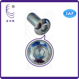 专业解析 内六角盘头螺丝M6、钻尾自转螺丝及其工厂供应